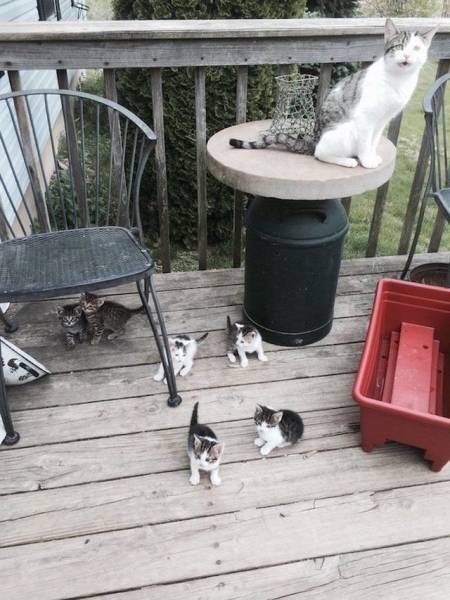 Daily Pictures. Part 1 (64 pics)