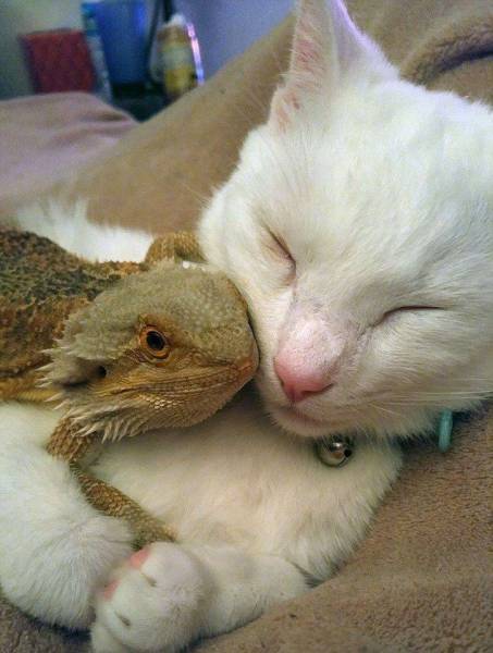 Daily Pictures. Part 1 (64 pics)