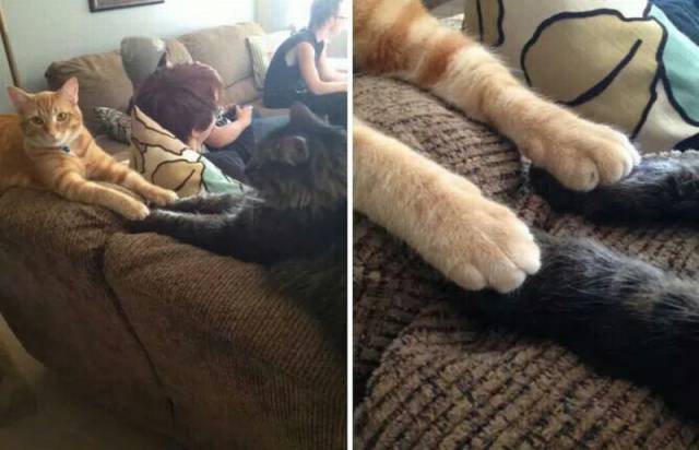 Daily Pictures. Part 1 (64 pics)