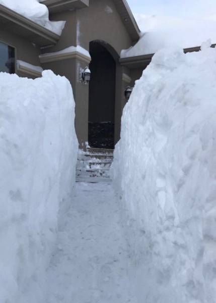 Daily Pictures. Part 1 (64 pics)