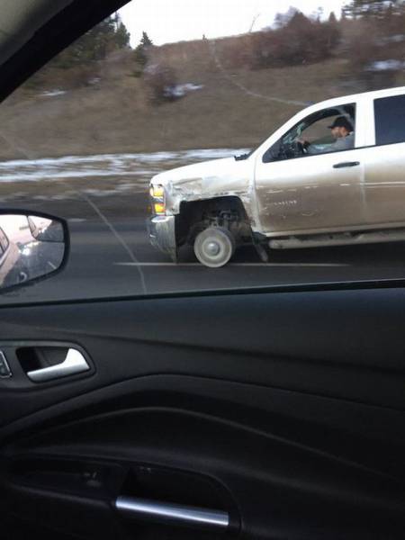 Daily Pictures. Part 1 (64 pics)