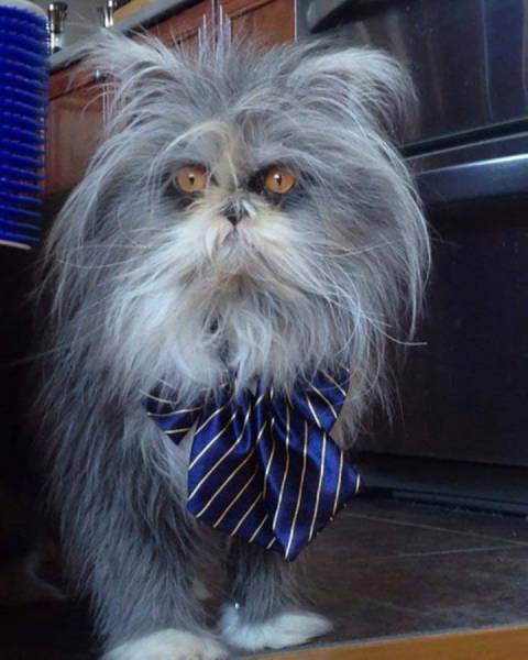 Daily Pictures. Part 1 (64 pics)