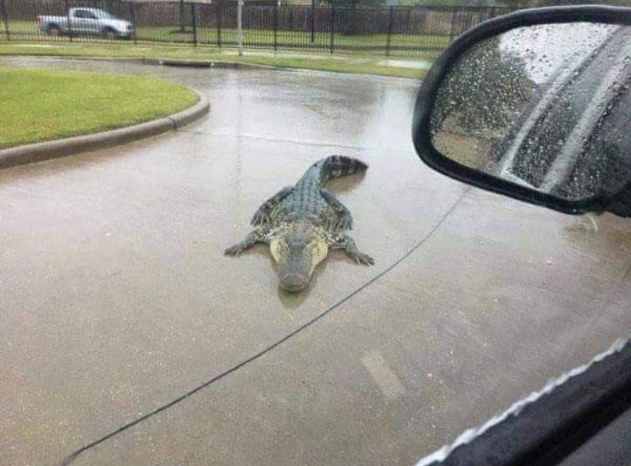 Daily Pictures. Part 2 (63 pics)