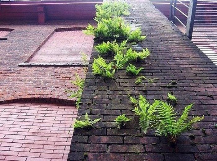 Daily Pictures. Part 2 (63 pics)