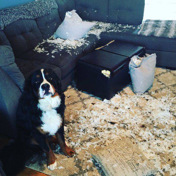 Daily Pictures. Part 1 (64 pics)