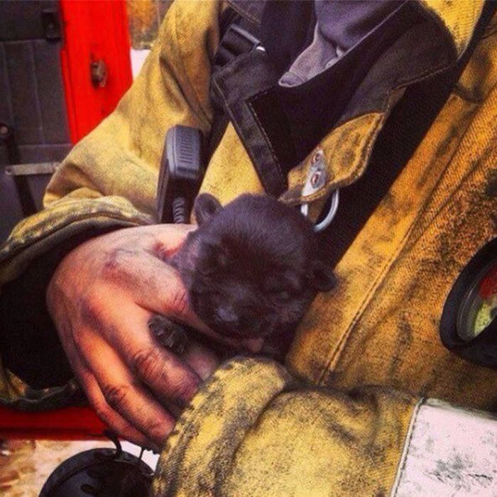 Daily Pictures. Part 2 (63 pics)