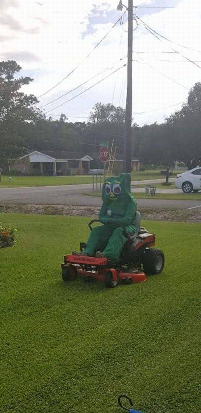 Daily Pictures. Part 1 (64 pics)