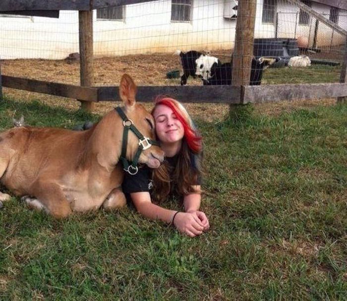 Daily Pictures. Part 2 (63 pics)