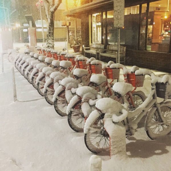 Daily Pictures. Part 2 (63 pics)