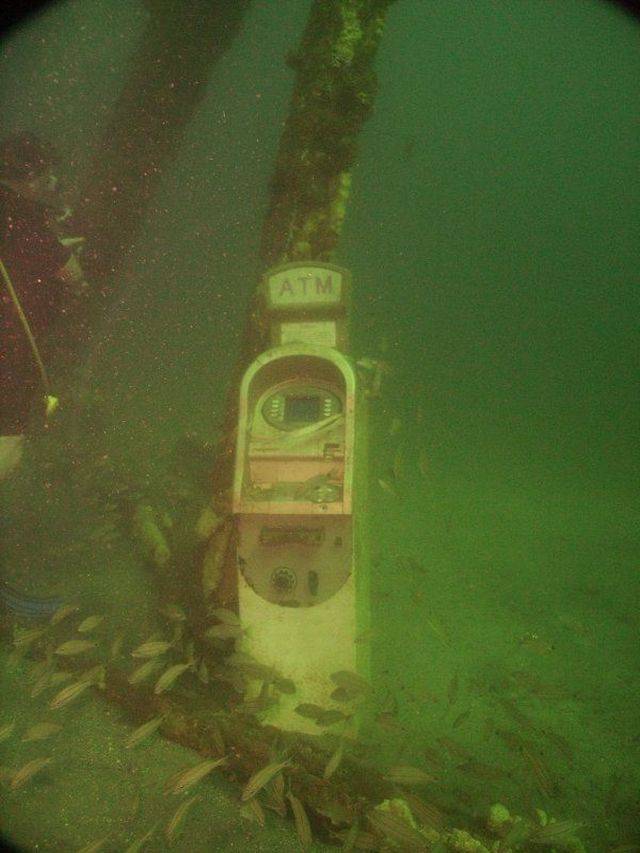 Daily Pictures. Part 2 (63 pics)