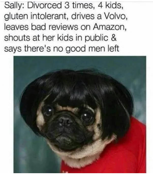 Daily Pictures. Part 2 (63 pics)