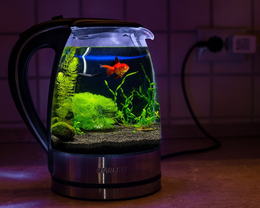 Daily Pictures. Part 2 (63 pics)