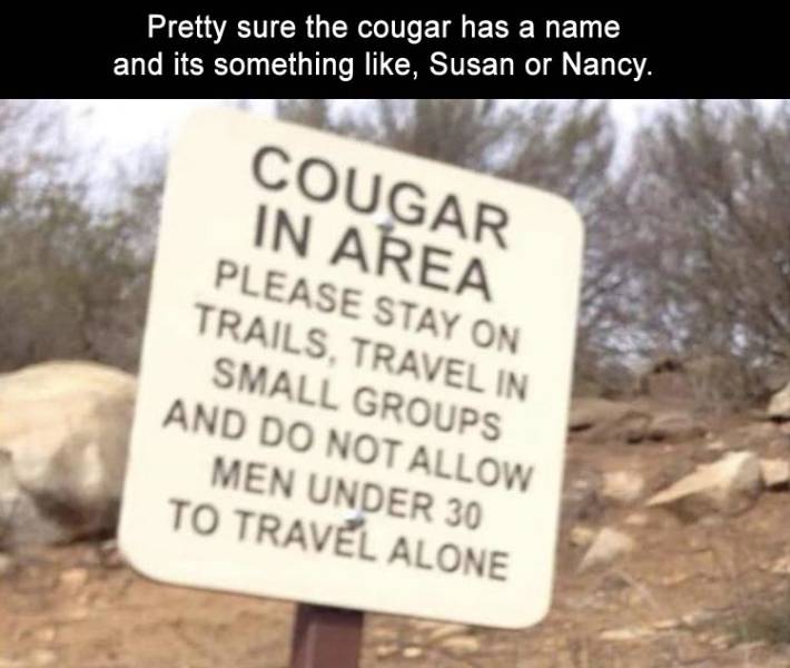 Daily Pictures. Part 2 (63 pics)