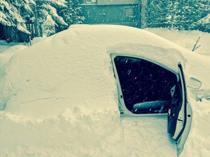 Daily Pictures. Part 2 (63 pics)