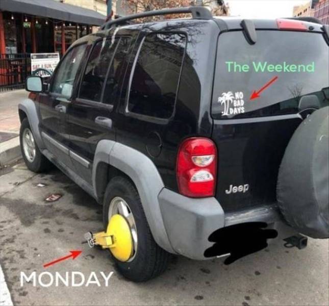 Daily Pictures. Part 2 (63 pics)