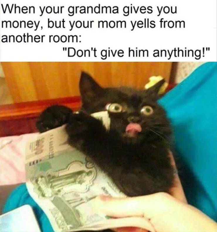 Daily Pictures. Part 2 (63 pics)