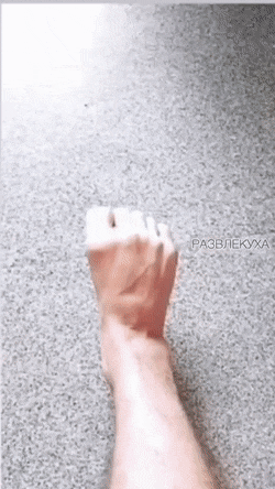 Acid GIFs, February 10 (25 gifs) Acid GIFs, February 10 (25 gifs)