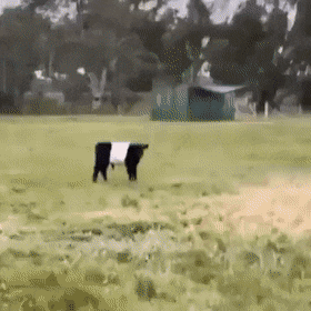 Acid GIFs, February 10 (25 gifs) Acid GIFs, February 10 (25 gifs)