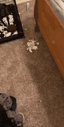 Acid GIFs, February 10 (25 gifs) Acid GIFs, February 10 (25 gifs)