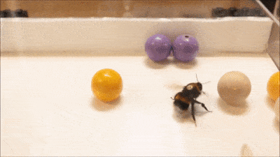 Acid GIFs, February 10 (25 gifs) Acid GIFs, February 10 (25 gifs)