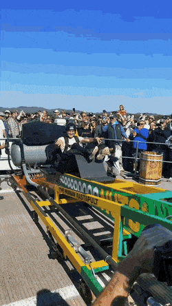 Acid GIFs, February 10 (25 gifs) Acid GIFs, February 10 (25 gifs)