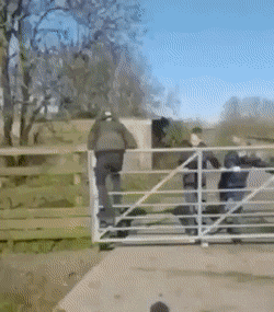 Acid GIFs, February 10 (25 gifs) Acid GIFs, February 10 (25 gifs)