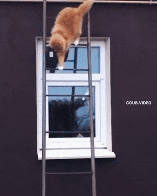 Acid GIFs, February 10 (25 gifs) Acid GIFs, February 10 (25 gifs)