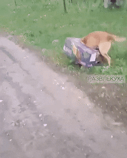 Acid GIFs, February 10 (25 gifs) Acid GIFs, February 10 (25 gifs)