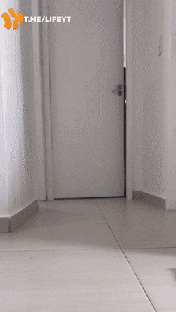 Acid GIFs, February 10 (25 gifs) Acid GIFs, February 10 (25 gifs)