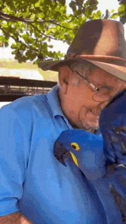 Acid GIFs, February 10 (25 gifs) Acid GIFs, February 10 (25 gifs)