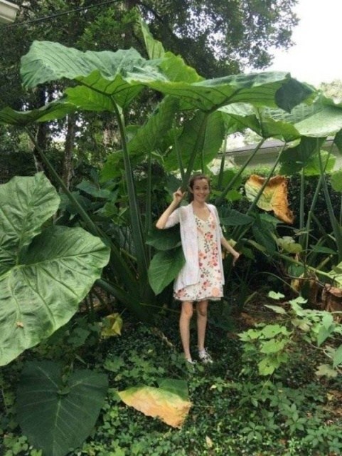 Giant Things (20 pics)