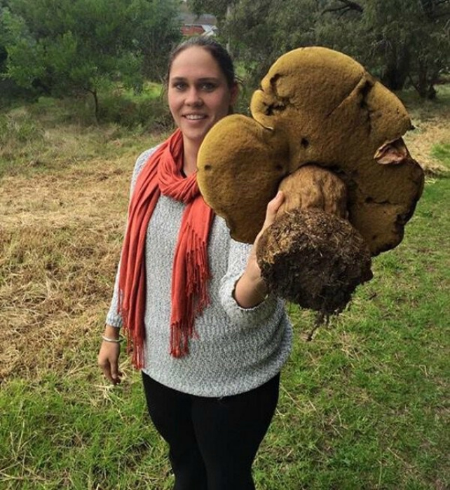 Giant Things (20 pics)