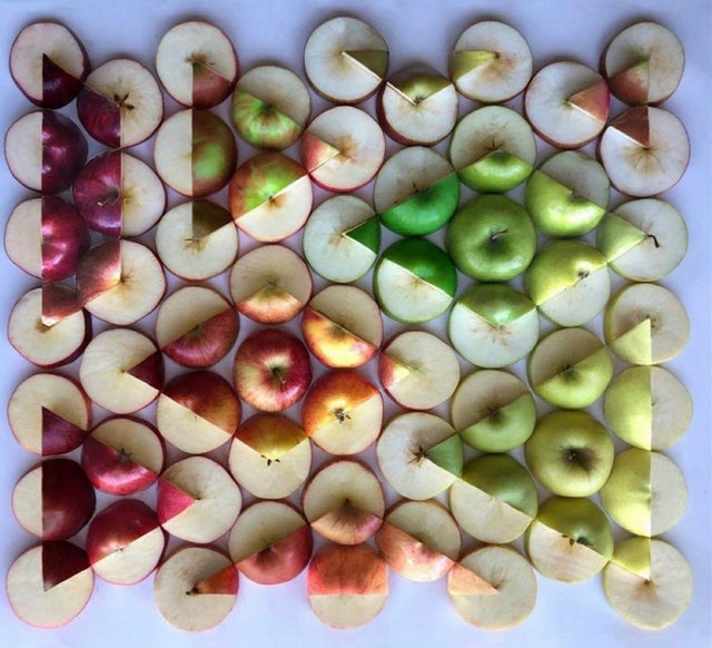 Photos For Perfectionists (20 pics) Photos For Perfectionists (20 pics)