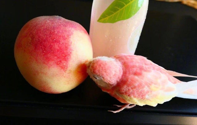 Photos For Perfectionists (20 pics) Photos For Perfectionists (20 pics)