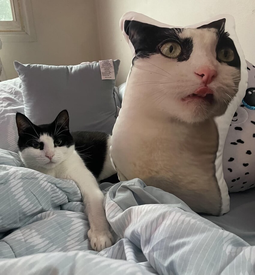 Strange Things And Finds (21 pics) Strange Things And Finds (21 pics)