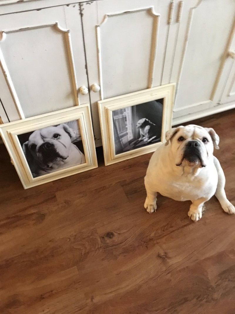 Strange Things And Finds (21 pics) Strange Things And Finds (21 pics)