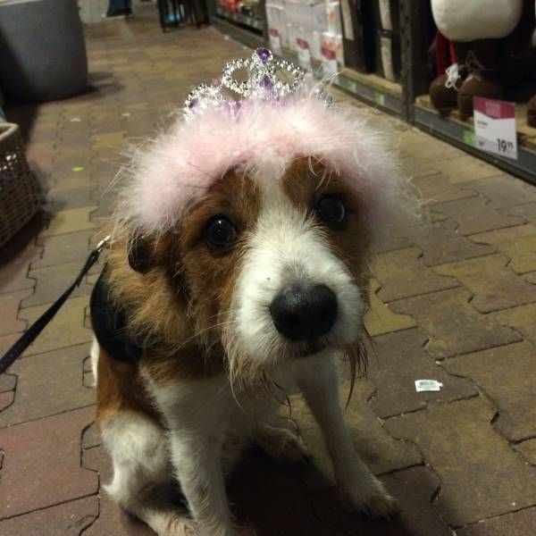 Daily Pictures. Part 1 (64 pics)