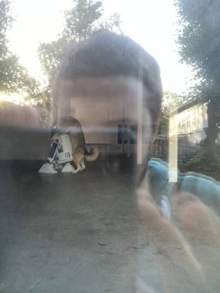 Daily Pictures. Part 1 (64 pics)