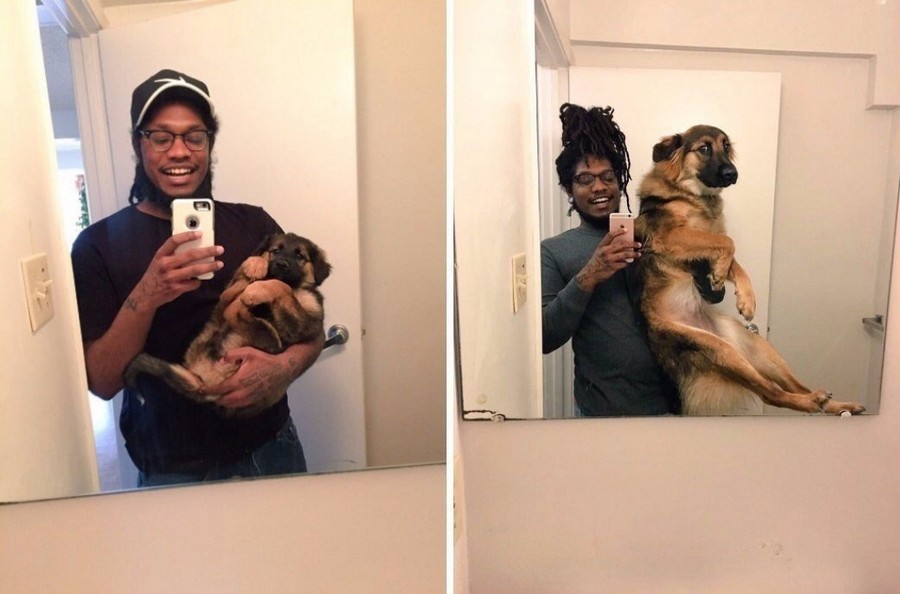 Daily Pictures. Part 1 (64 pics)