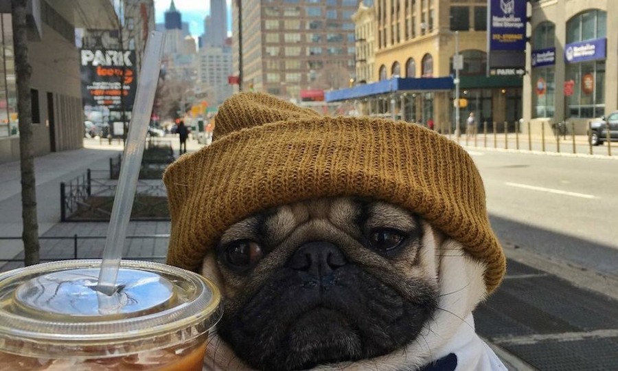 Daily Pictures. Part 1 (64 pics)