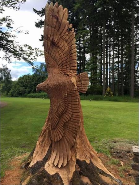 Daily Pictures. Part 1 (64 pics)