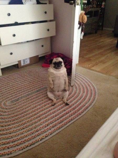 Daily Pictures. Part 1 (64 pics)