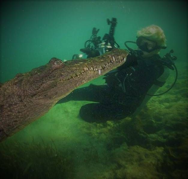 Daily Pictures. Part 1 (64 pics)