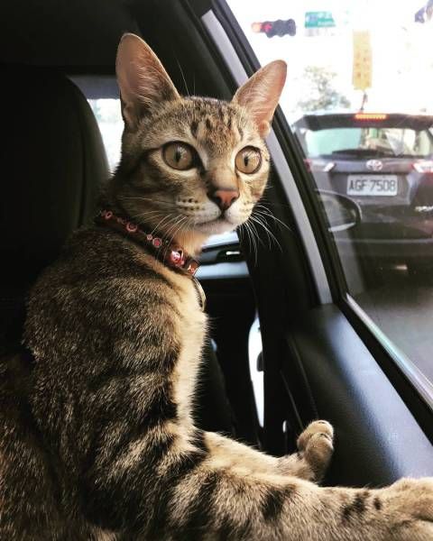 Daily Pictures. Part 1 (64 pics)