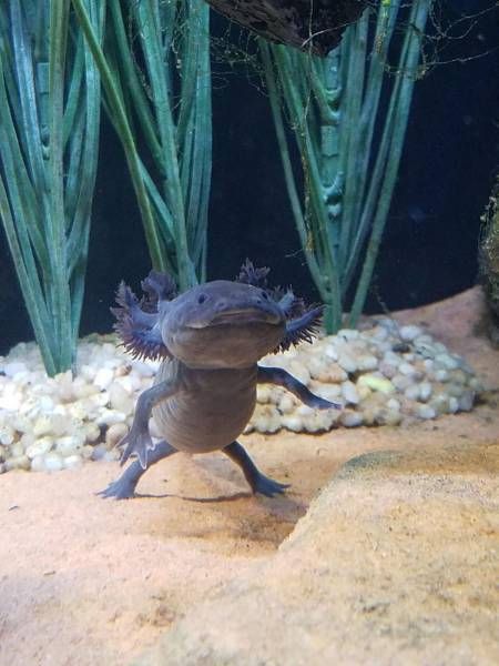 Daily Pictures. Part 1 (64 pics)