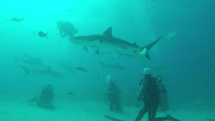 Daily Pictures. Part 1 (64 pics)