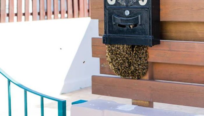 Daily Pictures. Part 1 (64 pics)