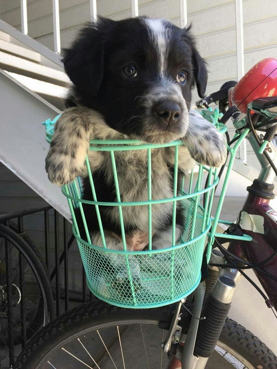 Daily Pictures. Part 1 (64 pics)