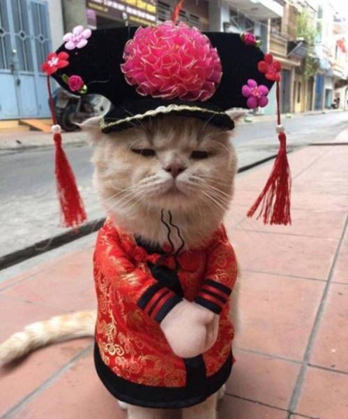 Daily Pictures. Part 1 (64 pics)