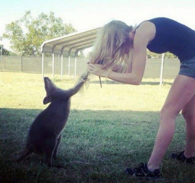 Daily Pictures. Part 1 (64 pics)